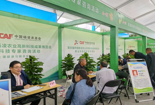 第三十屆中國楊凌農(nóng)業(yè)高新科技成果博覽會開幕，揭秘現(xiàn)代農(nóng)業(yè)技術(shù)咨詢新趨勢